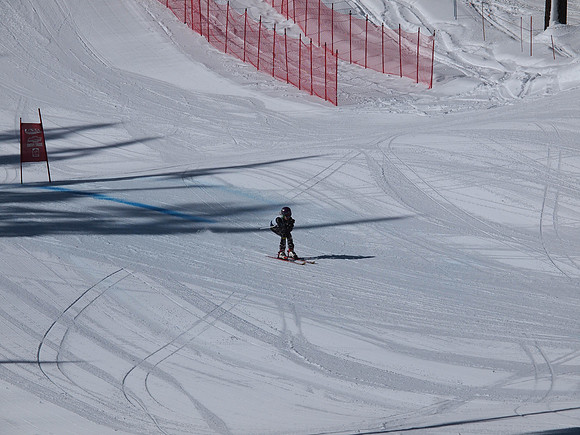 SunCup 2014-167