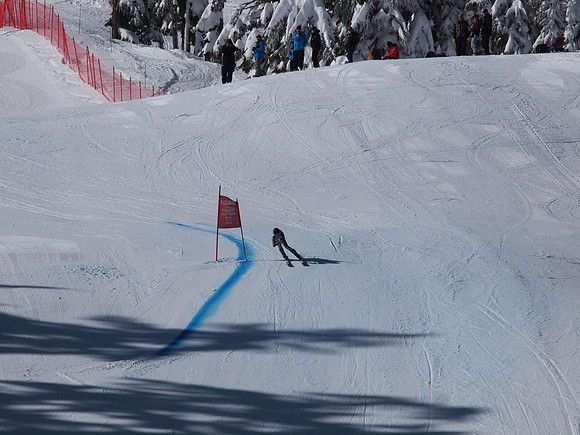 SunCup 2014-125