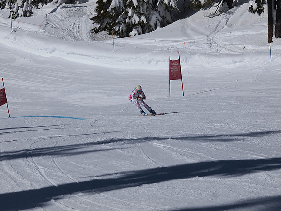 SunCup 2014-136