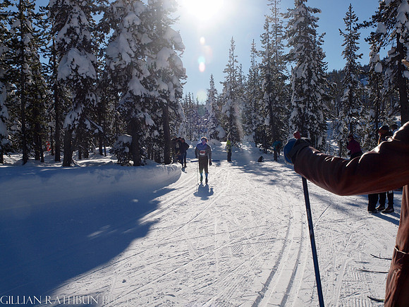 New Year's Day Relay