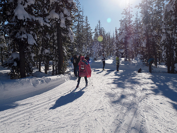 New Year's Day Relay