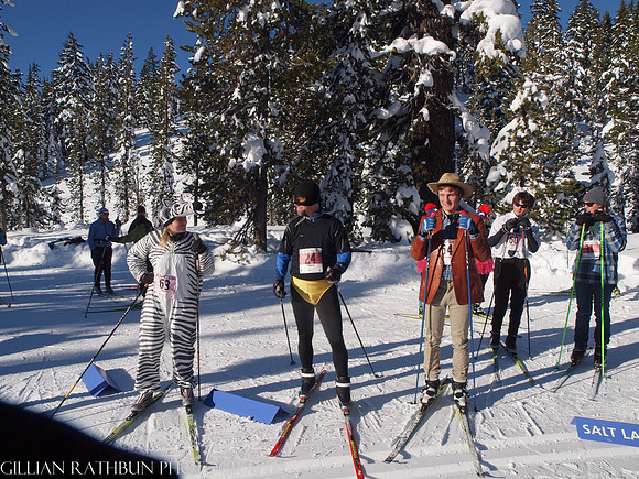 New Year's Day Relay