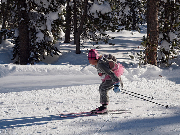 New Year's Day Relay