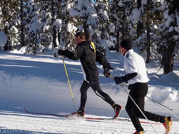 New Year's Day Relay