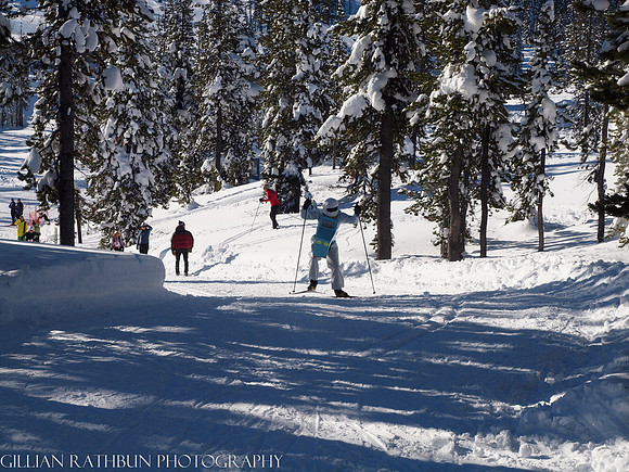 New Year's Day Relay