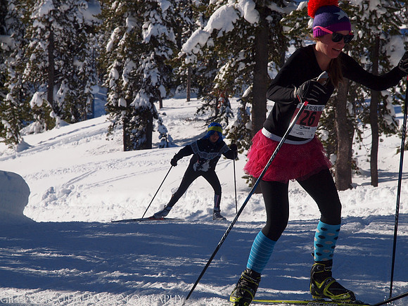 New Year's Day Relay