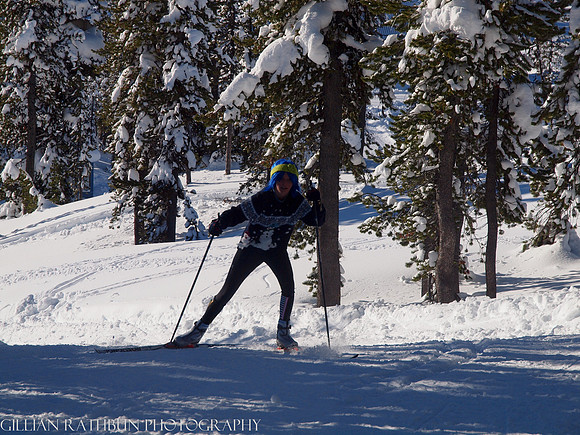 New Year's Day Relay