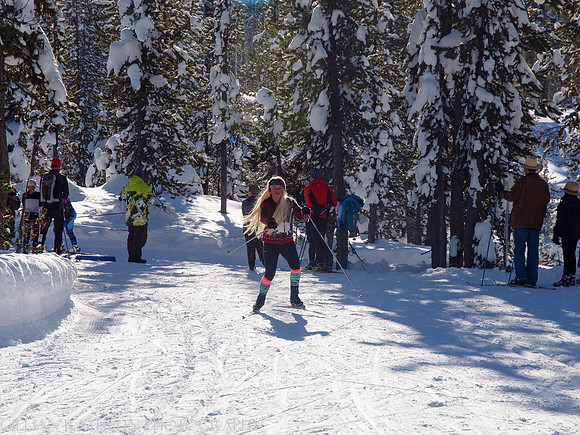 New Year's Day Relay