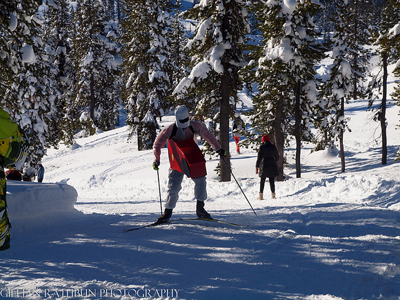 New Year's Day Relay