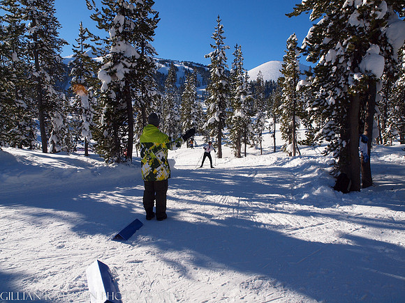New Year's Day Relay