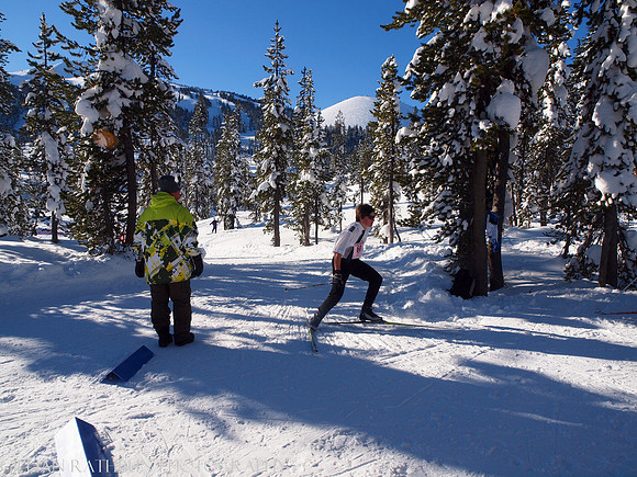 New Year's Day Relay