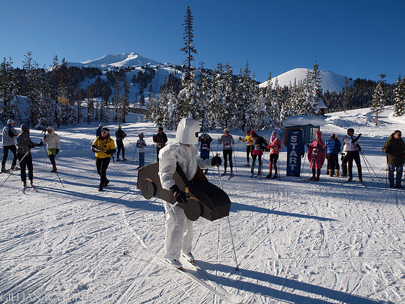 New Year's Day Relay