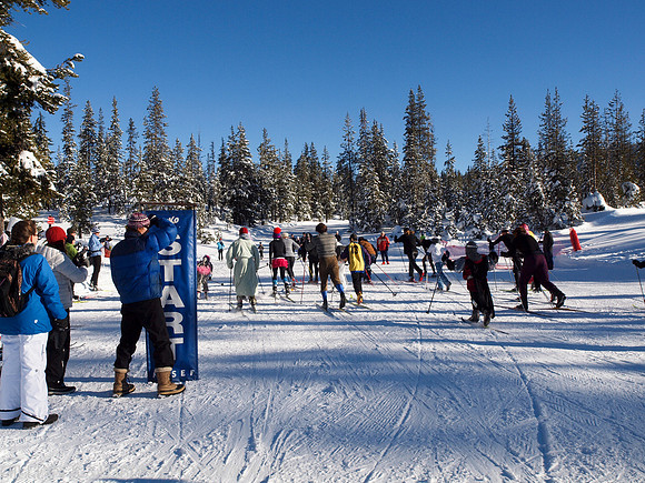 New Year's Day Relay