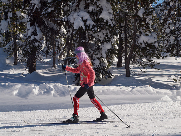 New Year's Day Relay