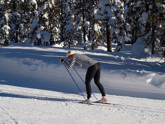 New Year's Day Relay