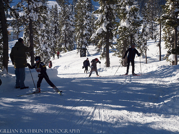 New Year's Day Relay