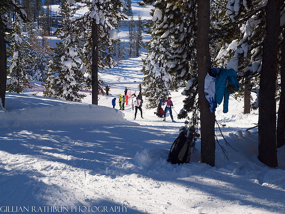 New Year's Day Relay