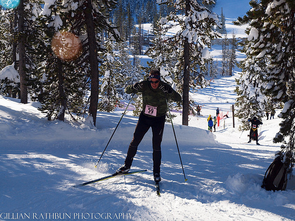 New Year's Day Relay
