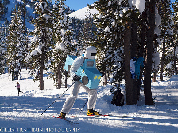 New Year's Day Relay