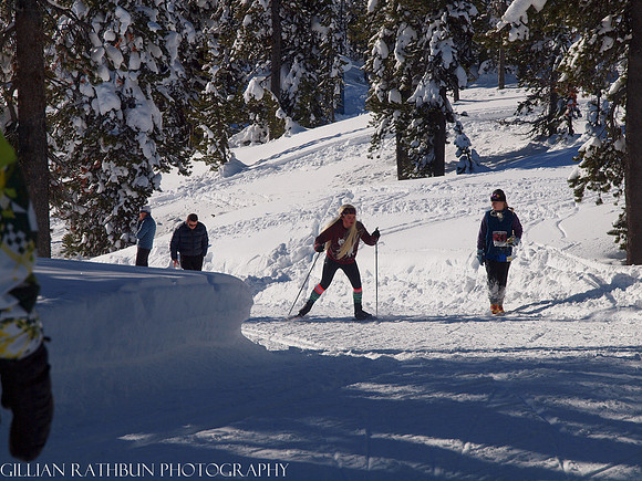 New Year's Day Relay