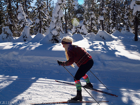 New Year's Day Relay