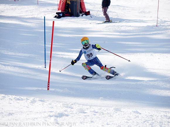 Skovburg, U12 Girls