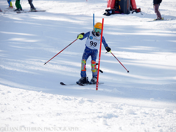 Skovburg, U12 Girls