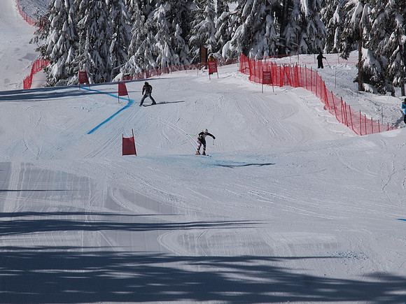 SunCup 2014-42