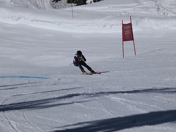 SunCup 2014-111