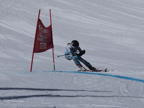 SunCup 2014-218