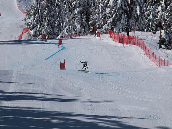 SunCup 2014-54