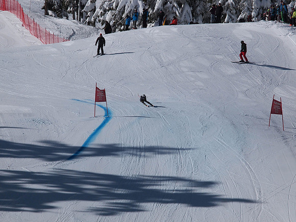 SunCup 2014-96