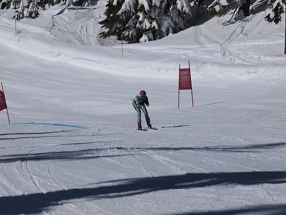 SunCup 2014-70