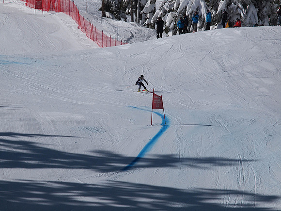 SunCup 2014-103