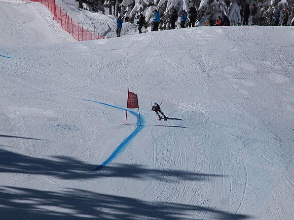 SunCup 2014-225