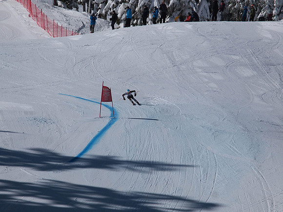 SunCup 2014-224