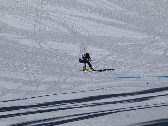 SunCup 2014-109