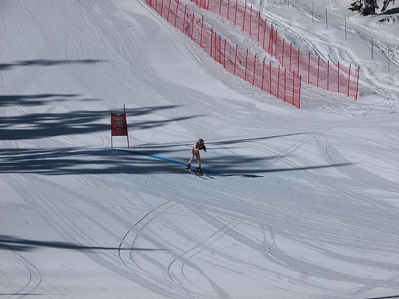 SunCup 2014-73