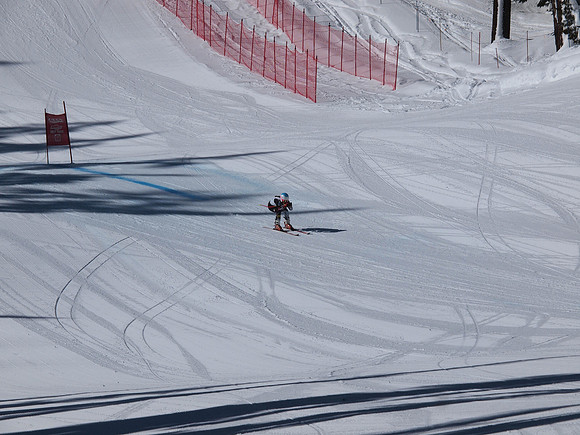 SunCup 2014-226