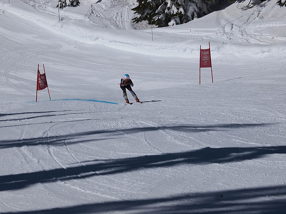 SunCup 2014-228