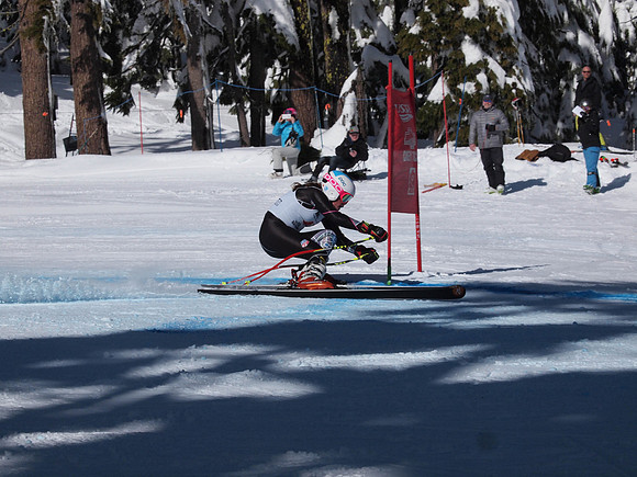SunCup 2014-230