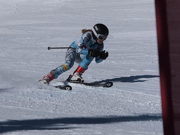 SunCup 2014-221