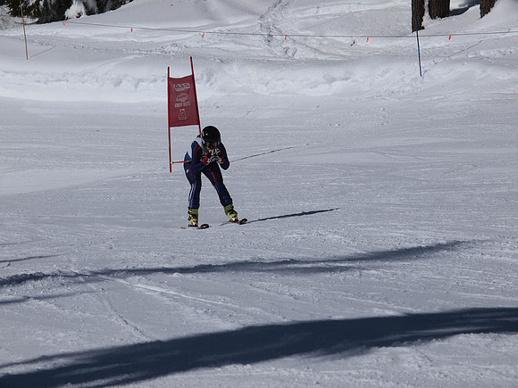 SunCup 2014-113