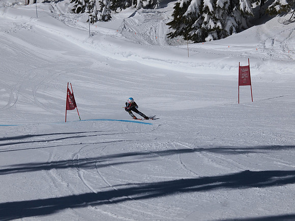 SunCup 2014-227