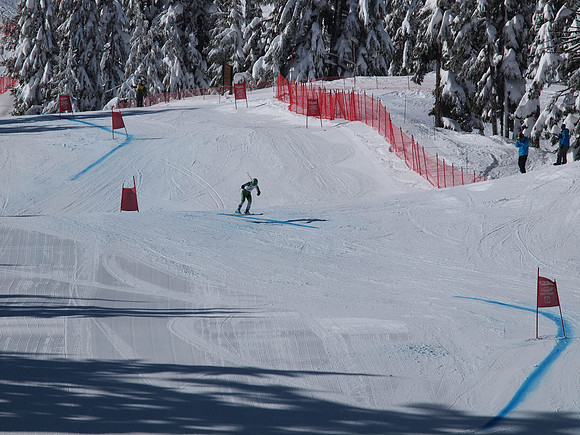 SunCup 2014-223