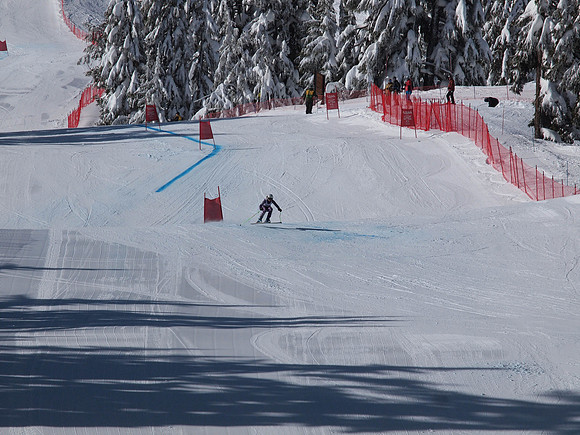 SunCup 2014-38