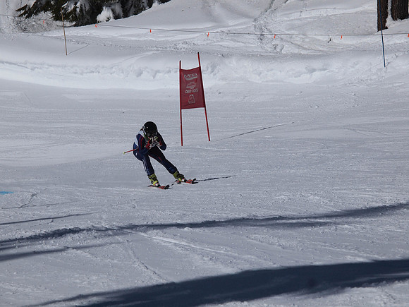 SunCup 2014-112