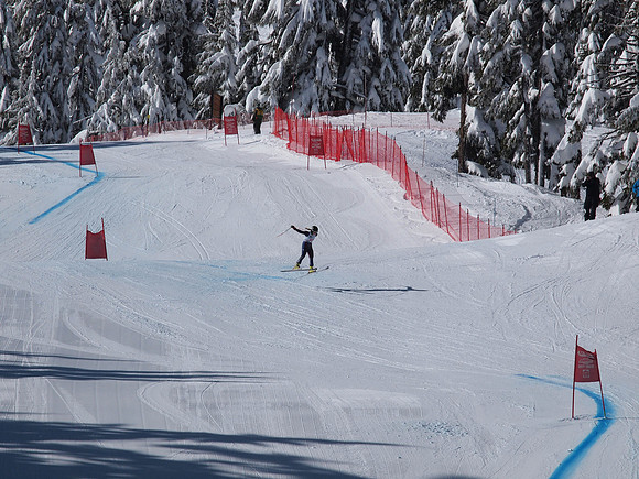 SunCup 2014-100