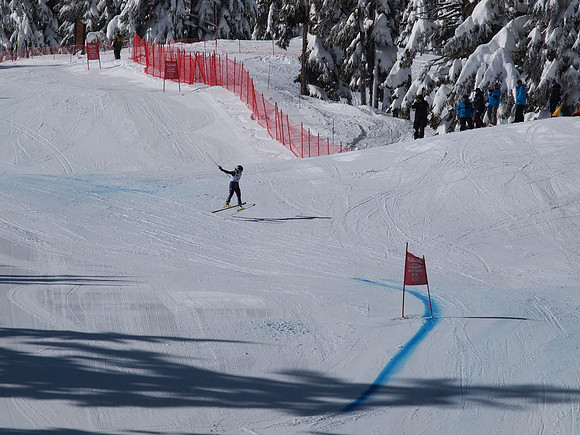 SunCup 2014-101