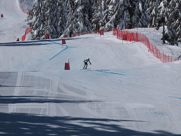 SunCup 2014-222